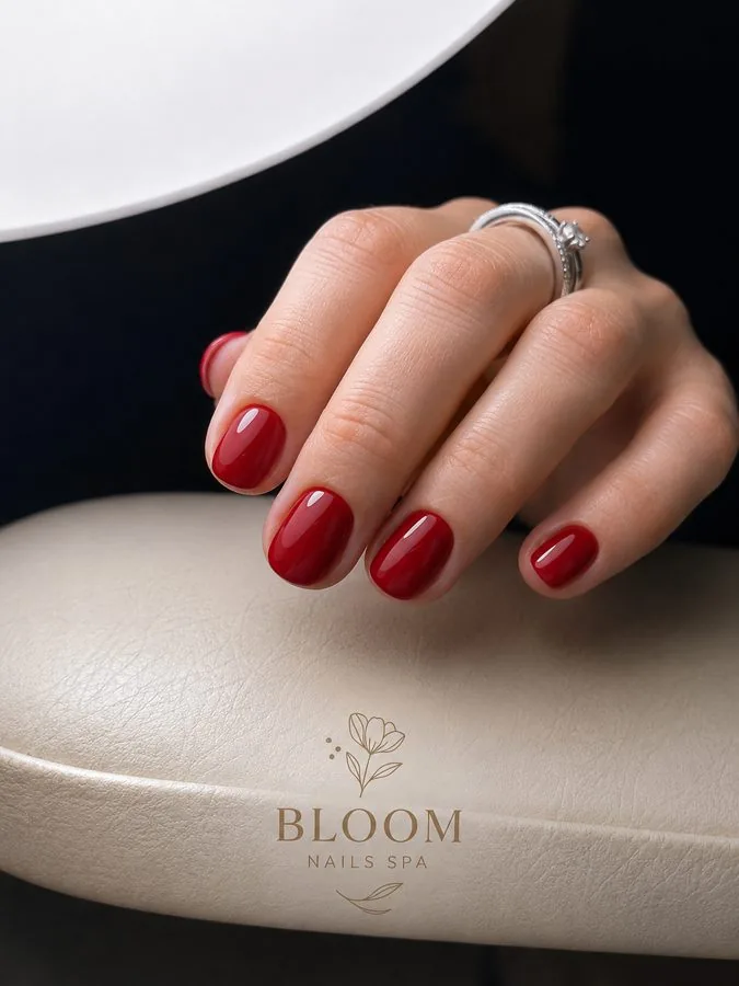 Clásica Bloom